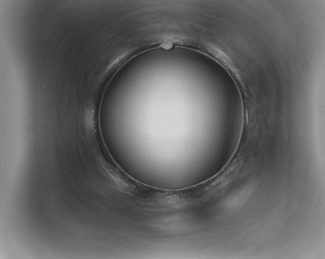 X0000112080249200908041259