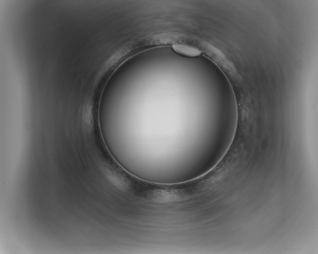 X0000112080250200908041259