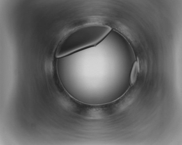 X0000112080252200908041259