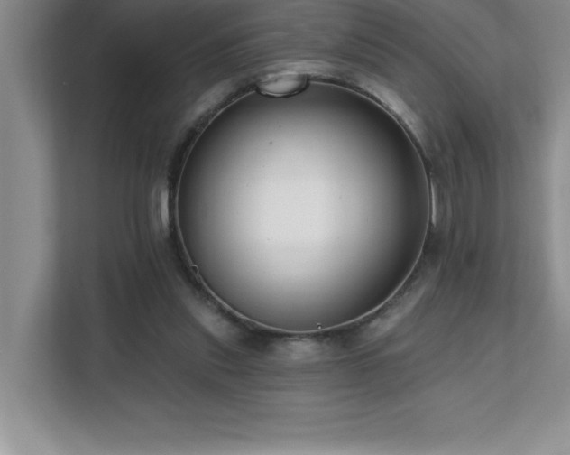 X0000112080253200908041300