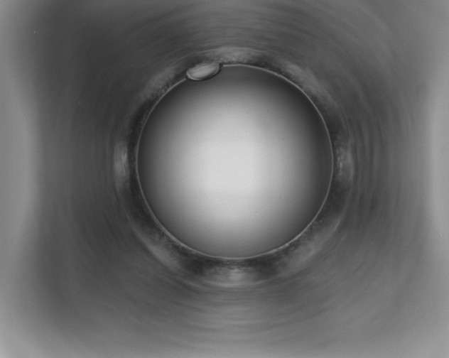 X0000112080254200908041300