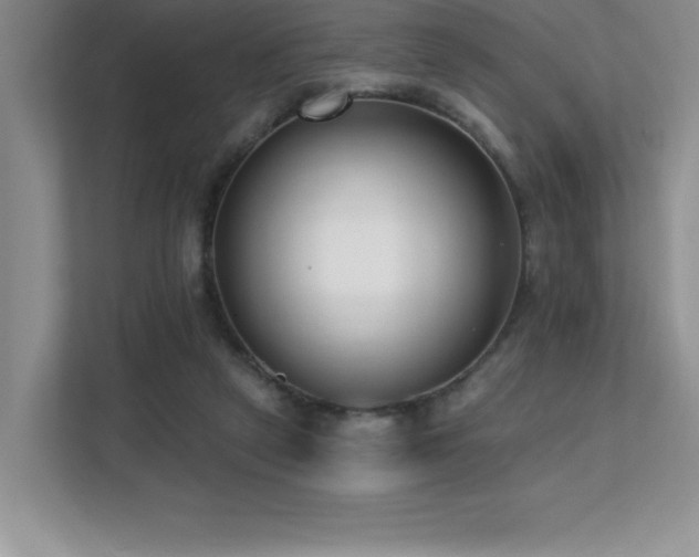 X0000112080257200908041300