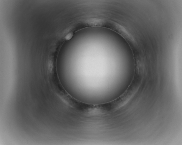 X0000112080259200908041300