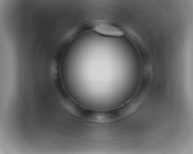 X0000112080264200908041300