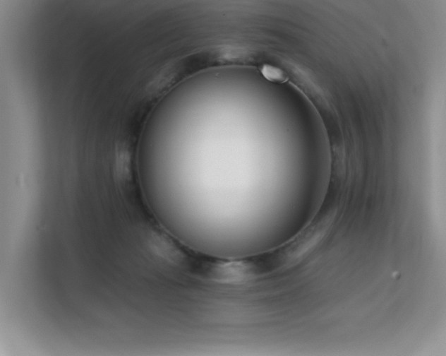 X0000112080269200908041300