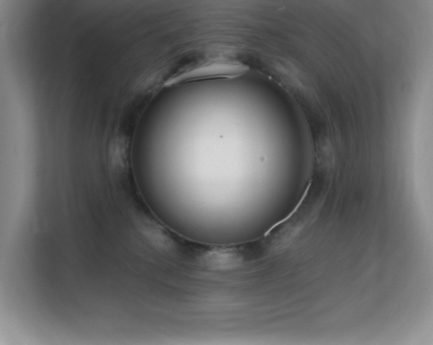X0000112080280200908041300
