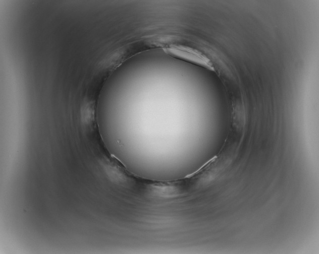 X0000112080284200908041300