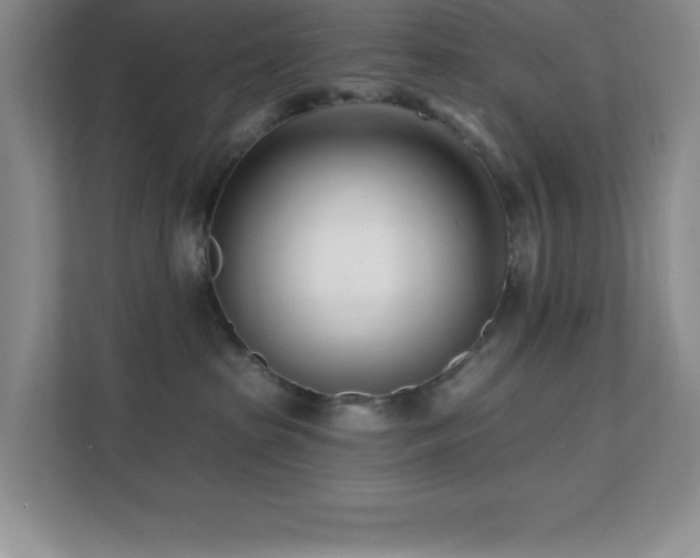 X0000112080285200908041300