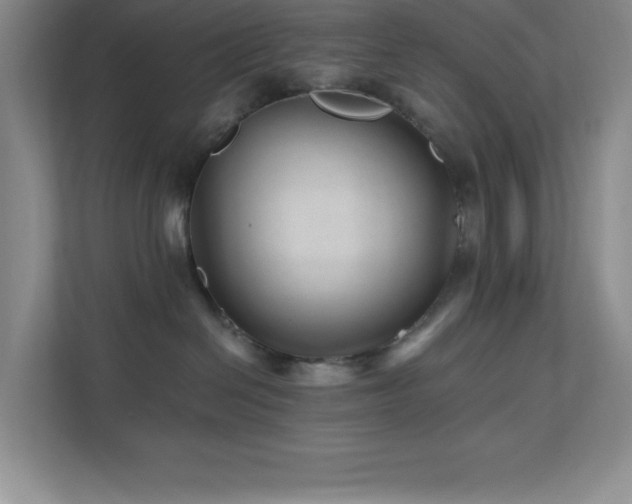 X0000112080286200908041300