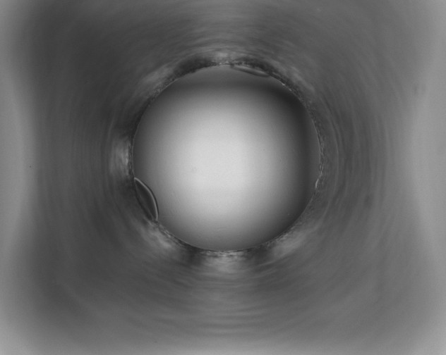 X0000112080288200908041300