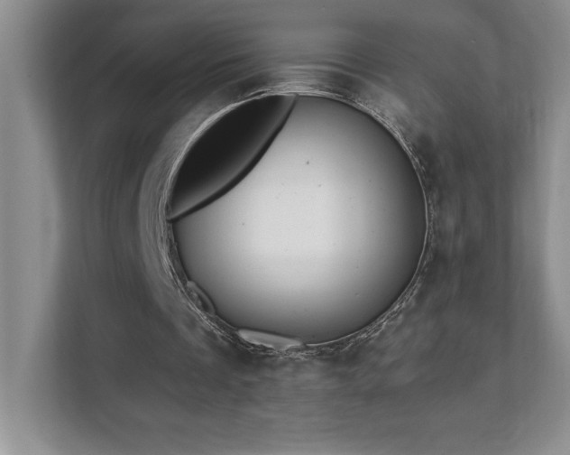 X0000112080289200908041259