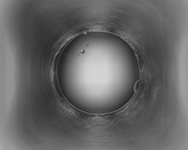 X0000112080290200908041259