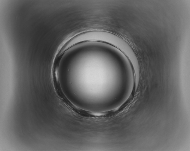 X0000112080292200908041259