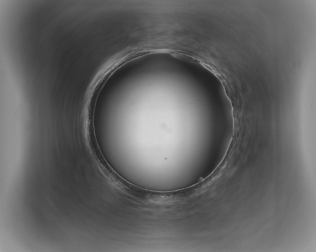 X0000112080293200908041259