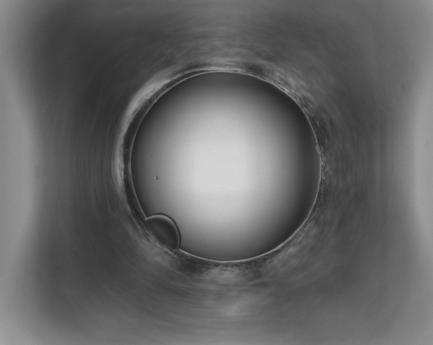 X0000112080294200908041259