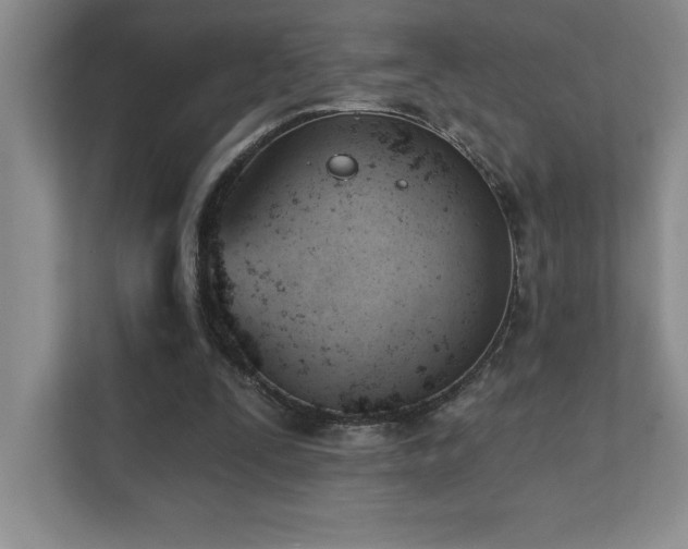 X0000112080295200908041259