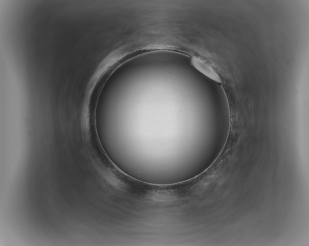 X0000112080296200908041259