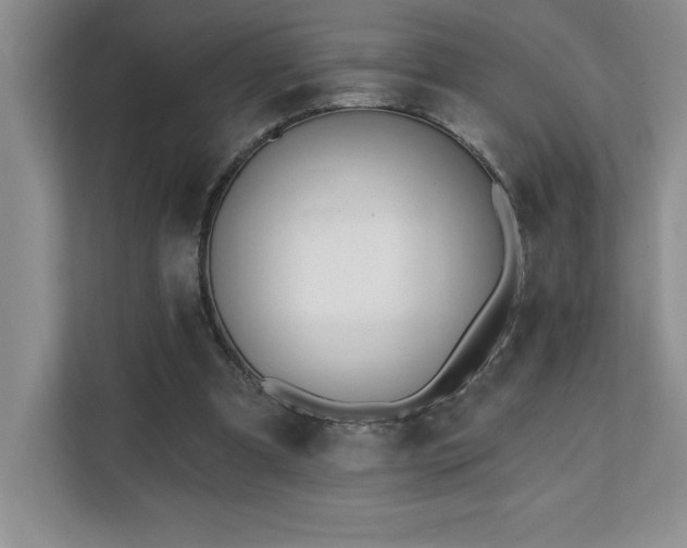 X0000112080297200908041259