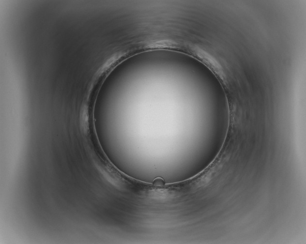X0000112080298200908041259