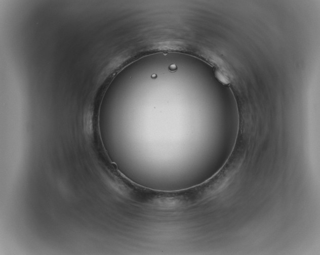 X0000112080299200908041259