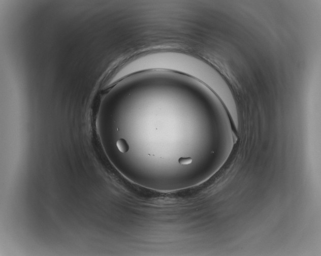 X0000112080300200908041259