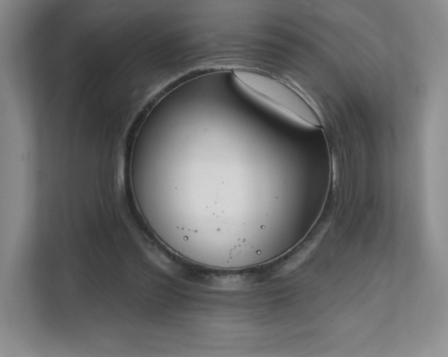 X0000112080301200908041259