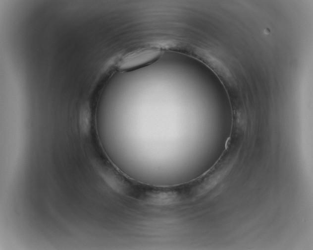 X0000112080304200908041259