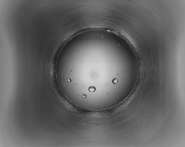 X0000112080305200908041259