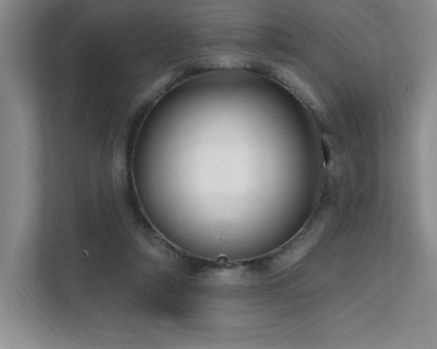 X0000112080306200908041259