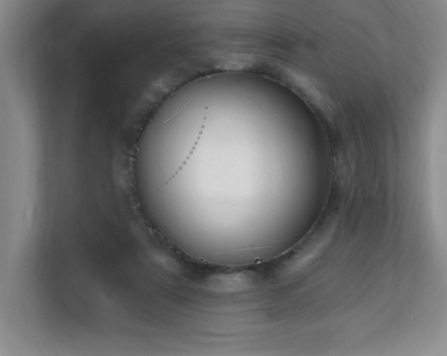 X0000112080307200908041259