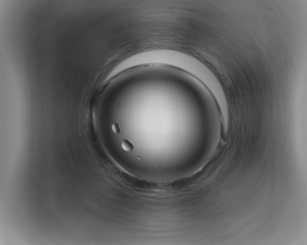 X0000112080308200908041259