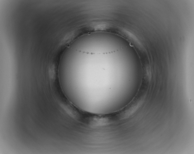 X0000112080311200908041259