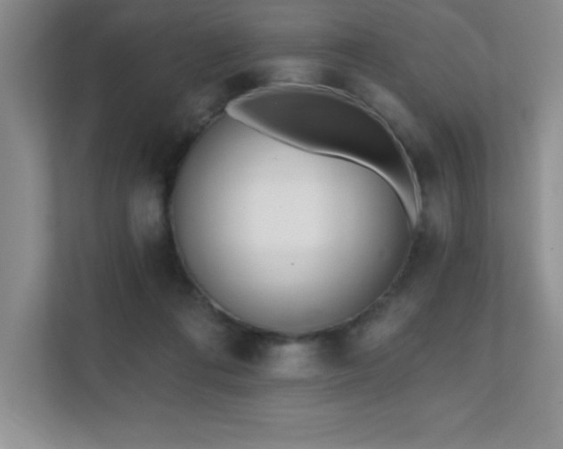 X0000112080312200908041259