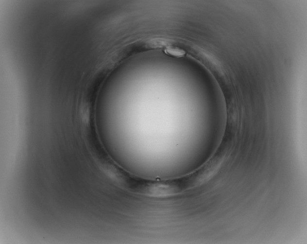 X0000112080315200908041259