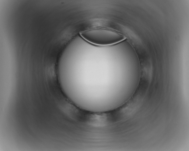 X0000112080317200908041259