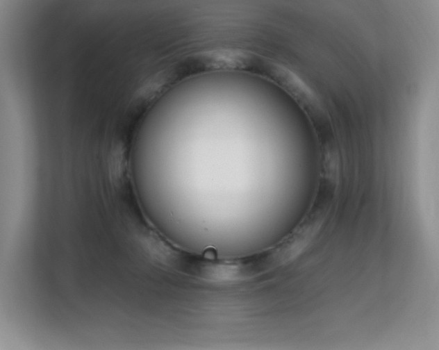 X0000112080318200908041259