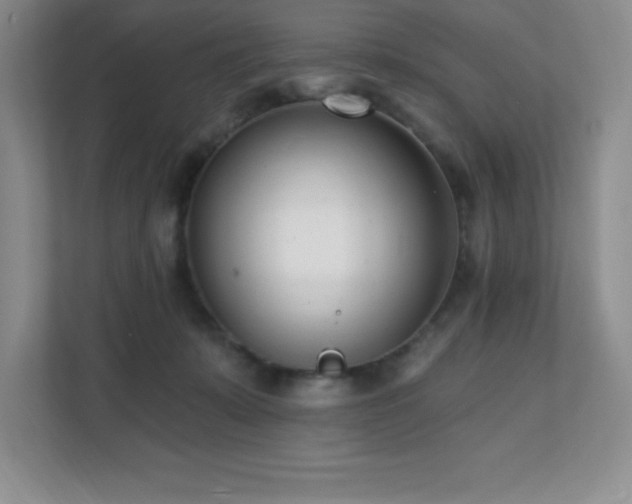 X0000112080319200908041259