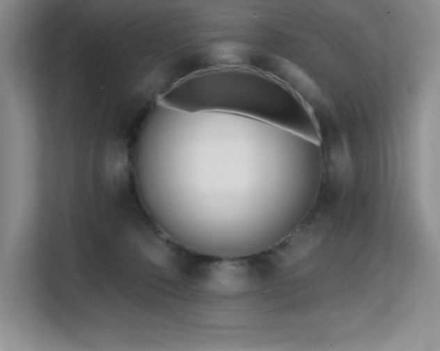 X0000112080320200908041259