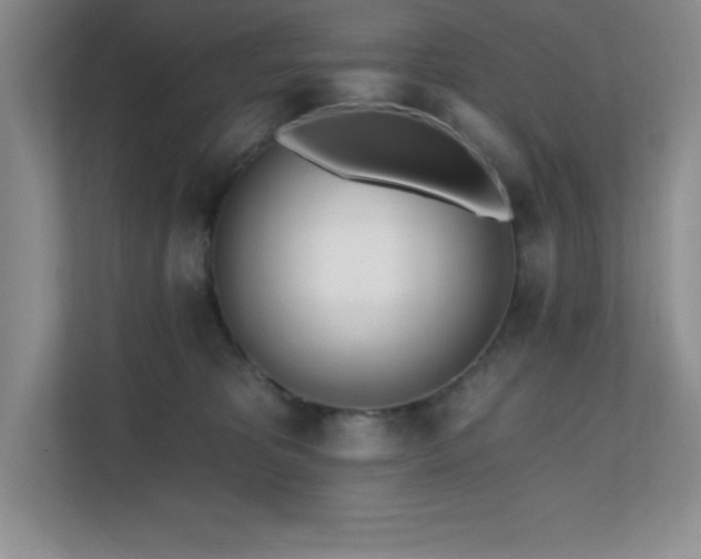 X0000112080325200908041259