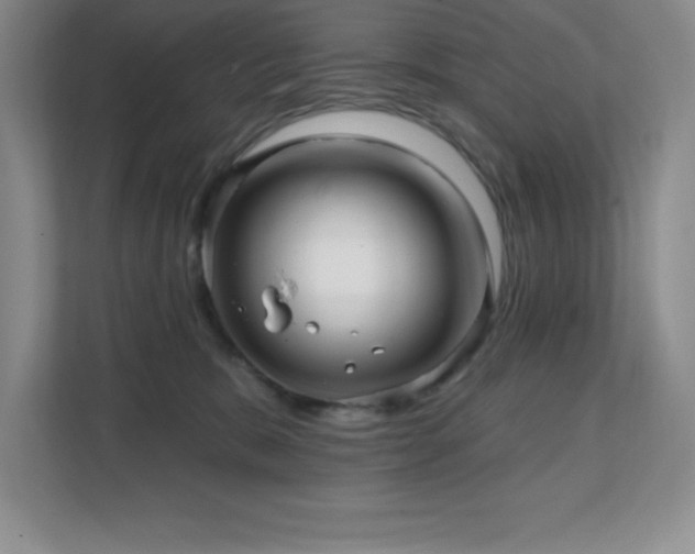 X0000112080327200908041259