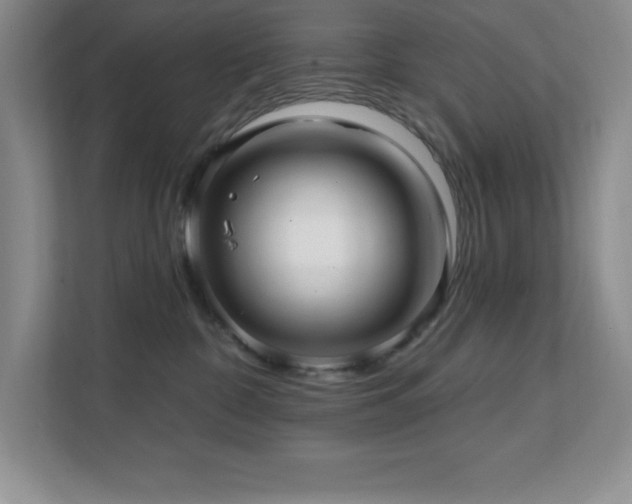 X0000112080332200908041259