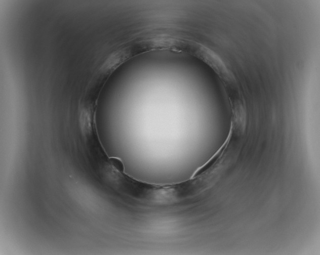 X0000112080333200908041259