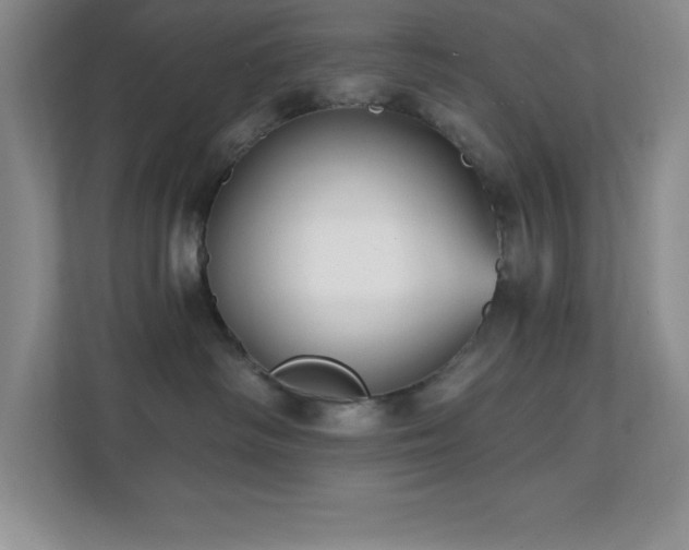 X0000112080334200908041259