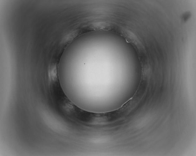 X0000112080335200908041259