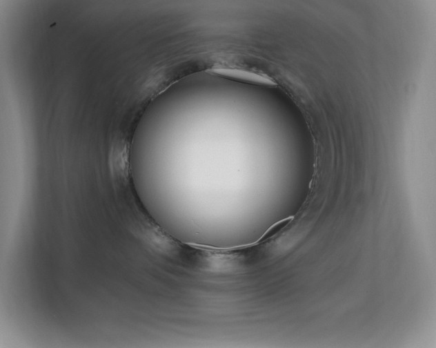 X0000112080336200908041259