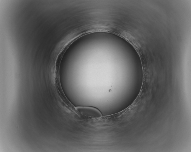 X0000112080338200908041258