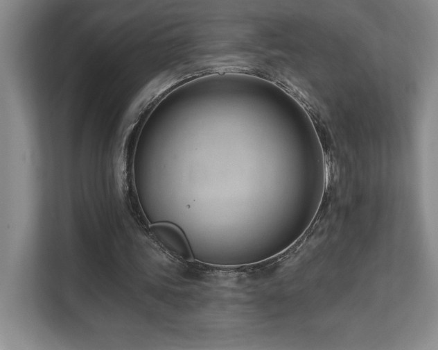 X0000112080339200908041258