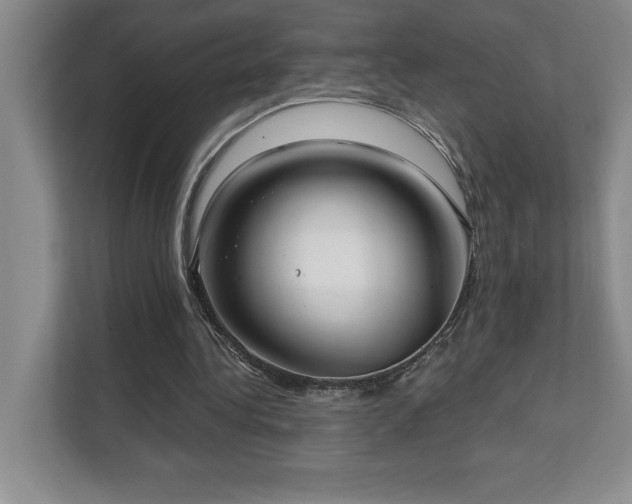 X0000112080340200908041258