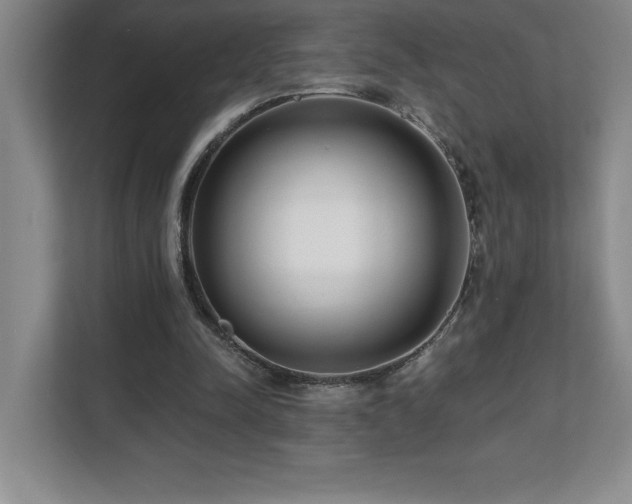 X0000112080342200908041258