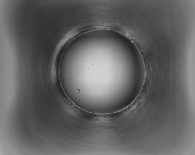 X0000112080343200908041258
